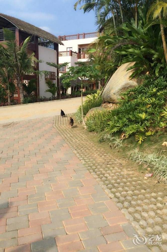 Hainan Bulongsai Resort Hotel Baoting Eksteriør billede