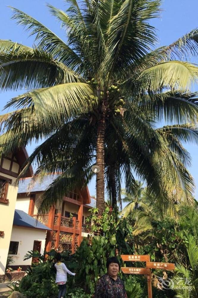 Hainan Bulongsai Resort Hotel Baoting Eksteriør billede